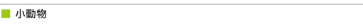 小動物