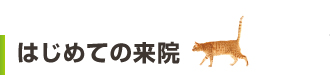 はじめての来院