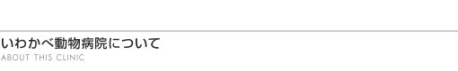 いわかべ動物病院について