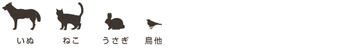 いぬ　ねこ　うさぎ　鳥他