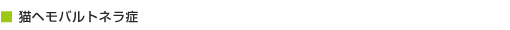 猫ヘモバルトネラ症