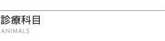診療科目