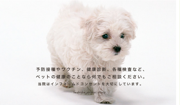 いわかべ動物病院